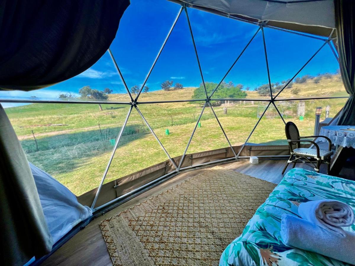 Hillview Farmstay Gundagai Exterior foto