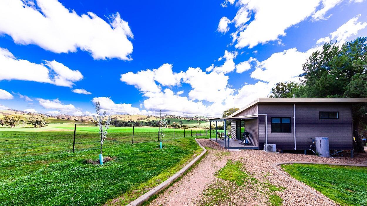 Hillview Farmstay Gundagai Exterior foto