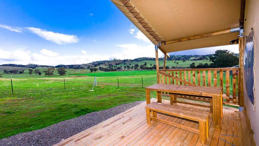 Hillview Farmstay Gundagai Exterior foto