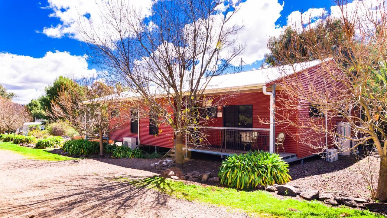 Hillview Farmstay Gundagai Exterior foto